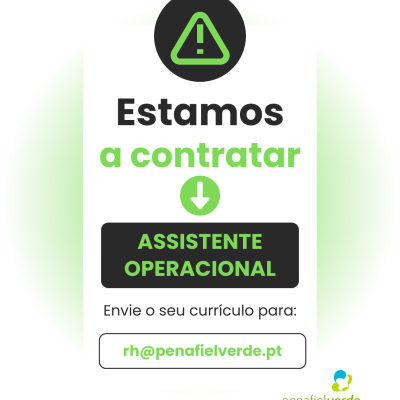 Modelo - vaga de emprego (3)
